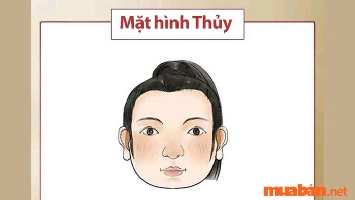 Vượng phu có nghĩa là gì?