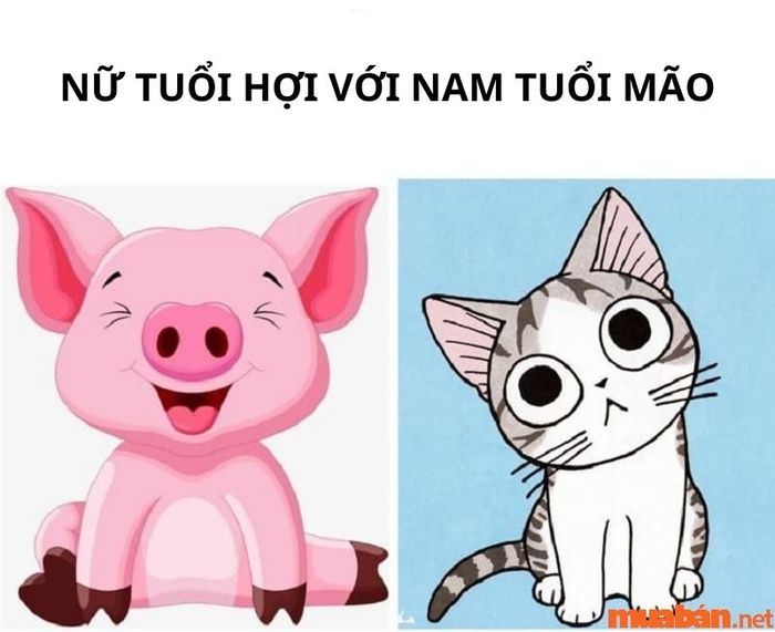 Nữ tuổi Hợi và nam tuổi Mão có hợp nhau không?