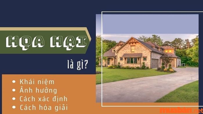 Họa Hại là gì? Những tác động của Họa Hại trong cuộc sống và phong thủy