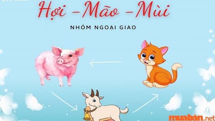 Tìm hiểu về Tam Hợp tuổi Hợi và những thông tin quan trọng bạn cần biết