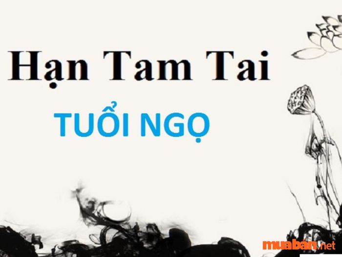 Nữ 2002 hợp với tuổi nào?