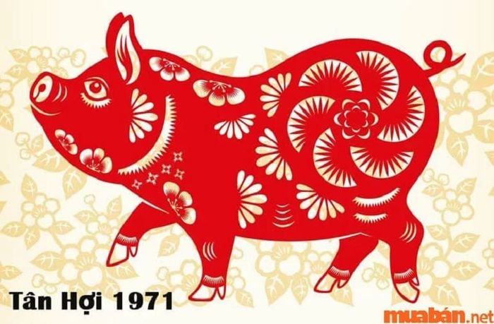 Tân Hợi 1971