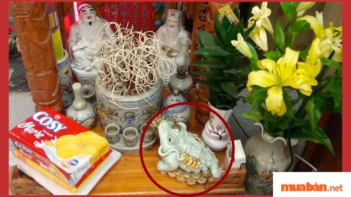 Ông Cóc là vị thần bảo vệ và giữ gìn vượng khí, mang lại tài lộc cho gia chủ.