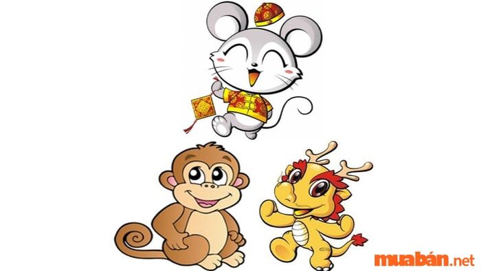 Tam hợp tuổi Tý là gì?
