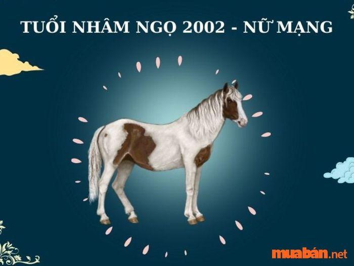 Tính cách đặc trưng của phụ nữ Nhâm Ngọ 2002