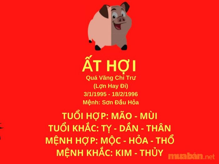 Nữ Nhâm Ngọ kết hôn với nam Ất Hợi không phải là một sự kết hợp lý tưởng