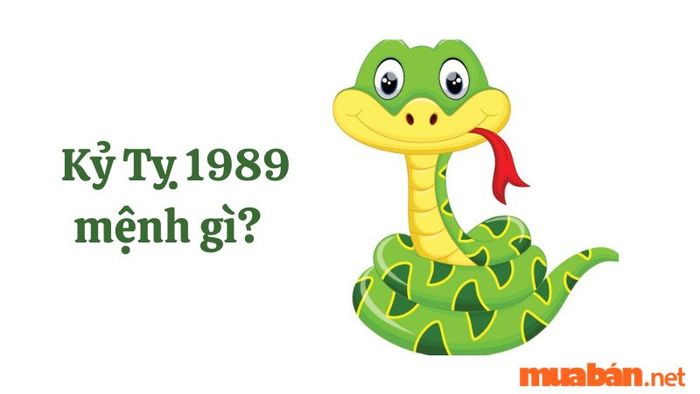 Mệnh của người sinh năm 1989 là gì?