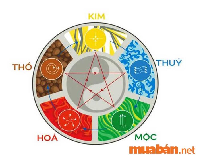 Cung mệnh là gì? Các yếu tố cấu thành cung mệnh là gì?