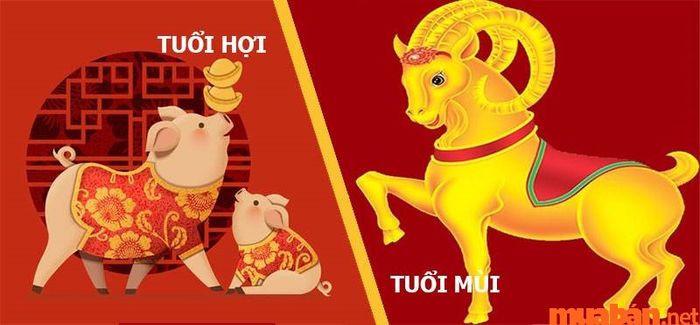 Tuổi Hợi và Mùi có hợp nhau trong công việc không?