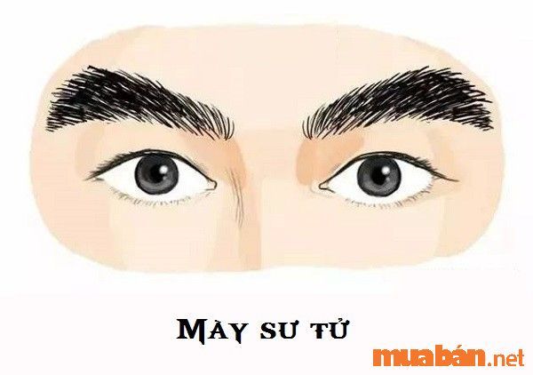 Chân mày sư tử ở nam giới