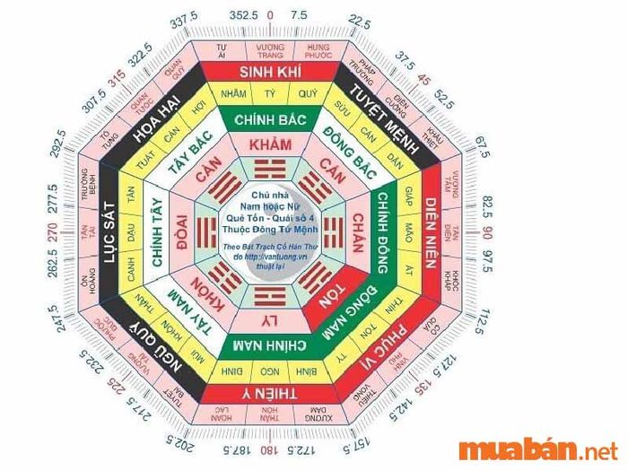 Cung mệnh là gì? So sánh giữa cung mệnh và sinh mệnh