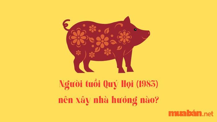 Chọn hướng xây nhà hợp phong thủy cho gia chủ tuổi Quý Hợi 1983