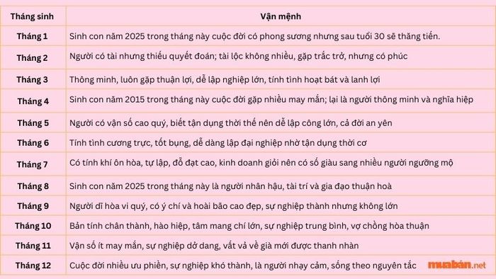 2025 mệnh gì?