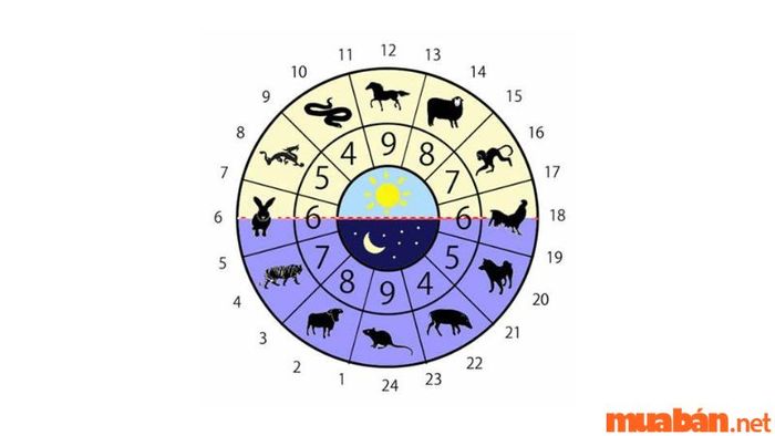 Hướng dẫn chi tiết cách tính giờ trong ngày theo 12 con giáp