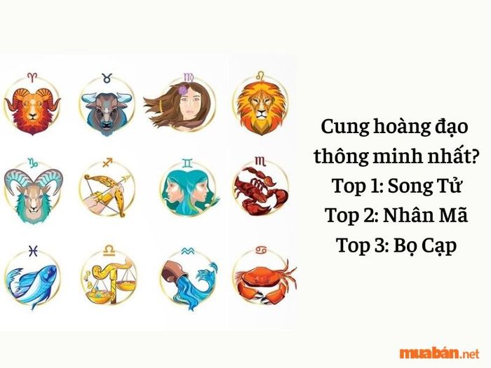 Cung hoàng đạo nào là thông minh nhất?