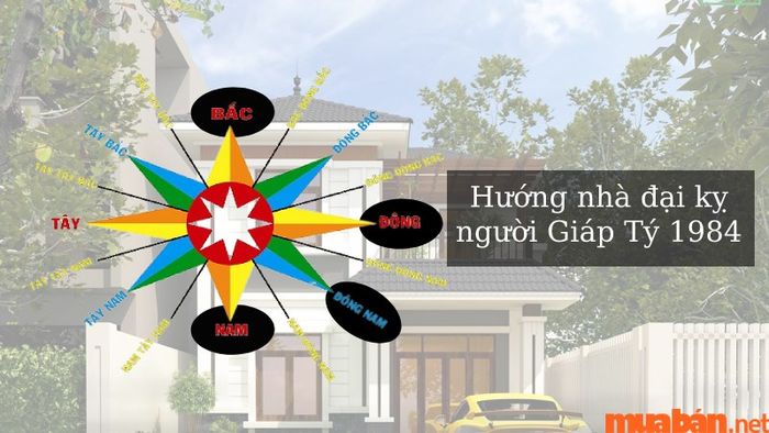 Hướng Đông, Đông Nam, Nam và Bắc là các hướng đại kỵ cho người tuổi Giáp Tý sinh năm 1984.