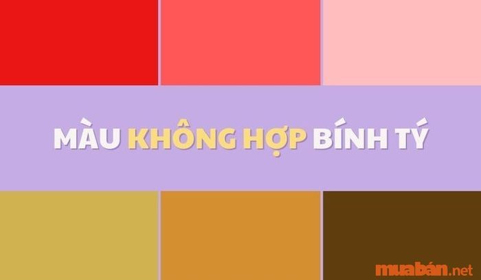Màu sắc nào không phù hợp với người tuổi Bính Tý - 1996?