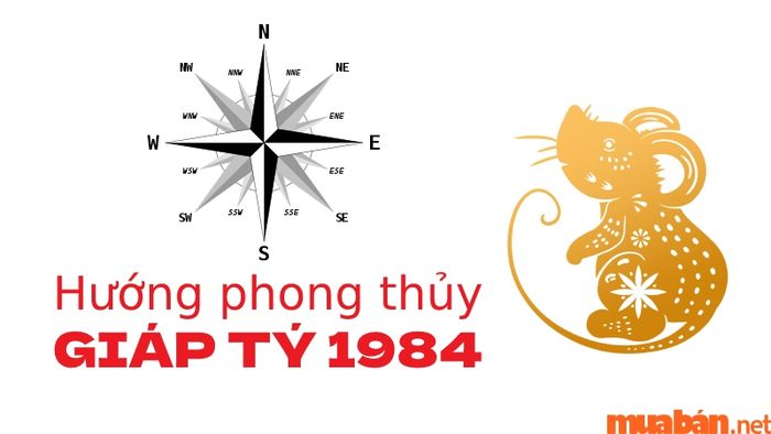 Người tuổi Giáp Tý sinh năm 1984 hợp với hướng nào?
