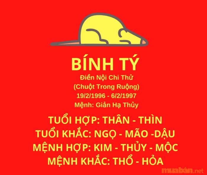 Nam nữ sinh năm 1996 thuộc tuổi gì?