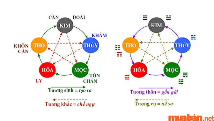 Hướng hợp với người tuổi Giáp Tý 1984 sẽ phụ thuộc vào giới tính của họ