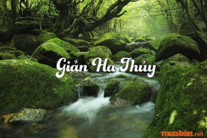 Người sinh năm 1996 thuộc mệnh Thủy – Giản Hạ Thủy.