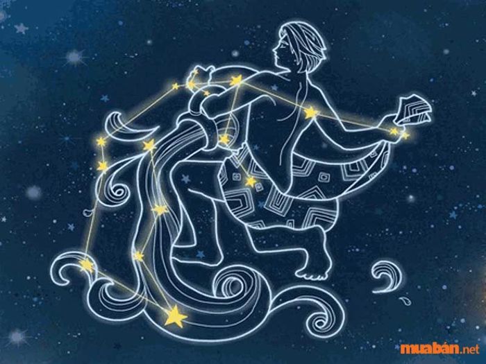 Bảo Bình – một trong ba cung hoàng đạo hiếm gặp nhất trên thế giới