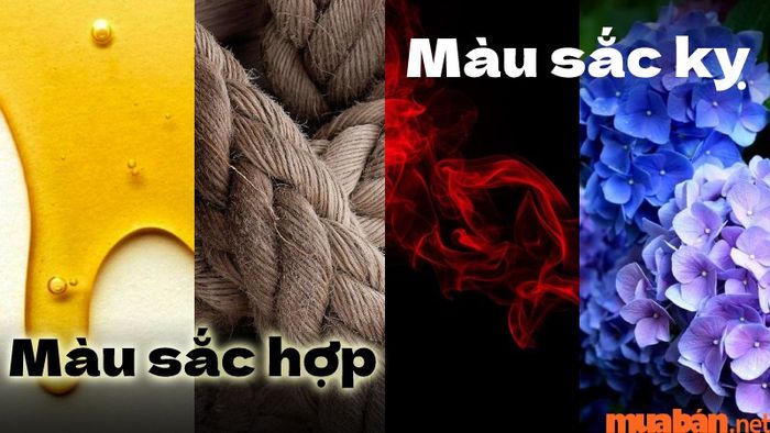 Người Giáp Tý 1984 hợp với các màu vàng, cam, nâu, trắng và xám; không hợp với màu đỏ, hồng, tím, xanh dương và đen