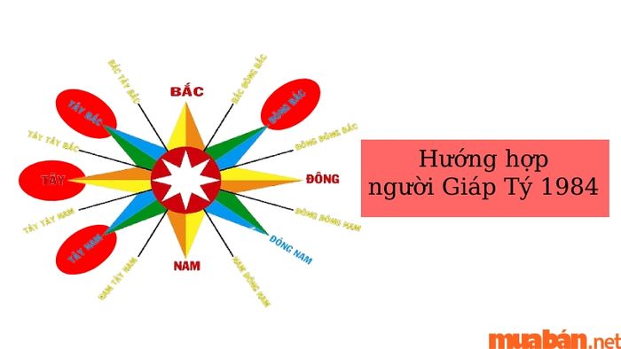 Tuổi Giáp Tý sẽ hợp với các hướng Tây Bắc, Tây, Tây Nam và Đông Bắc, mang lại nhiều may mắn và thuận lợi trong cuộc sống.