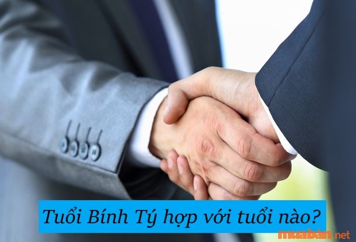 Người tuổi Bính Tý nên hợp tác với ai để tăng tài lộc và thuận lợi trong công việc?