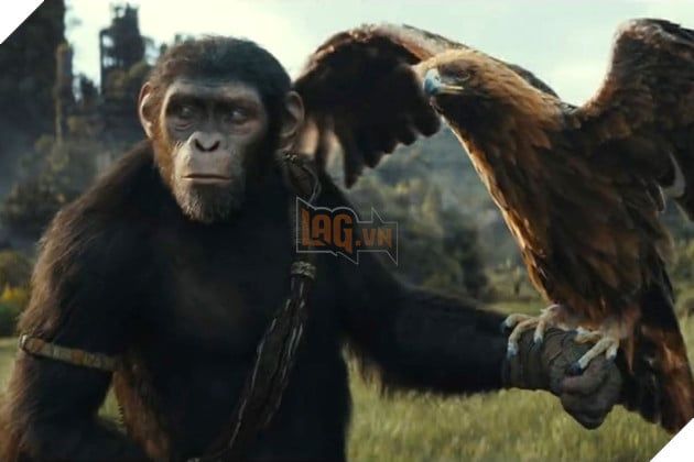 Snoop Dogg tiết lộ kế hoạch làm một bộ phim lấy cảm hứng từ Planet of the Apes, nhưng lần này cốt truyện sẽ xoay quanh loài chó.