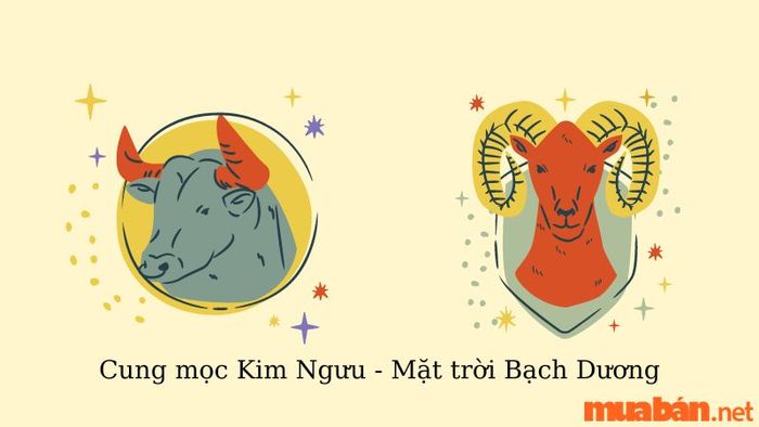 Sự kết hợp giữa Cung Mọc Kim Ngưu và Mặt Trời Bạch Dương tạo nên những cá tính độc lập và thẳng thắn.