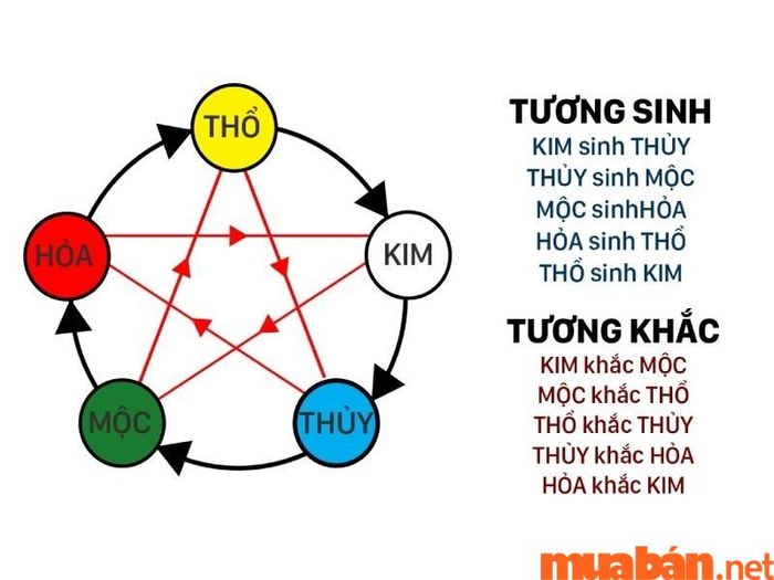 Mệnh Thổ và mệnh Mộc có sự xung khắc rõ rệt.