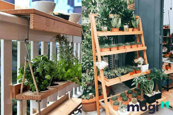 Hãy thử kết hợp nhiều loại cây cảnh khác nhau để làm phong phú khu vườn ban công của bạn.