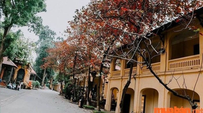 Hà Nội có gì chơi? - Một gợi ý tuyệt vời là bạn có thể đi dạo quanh phố cổ Hà Nội.