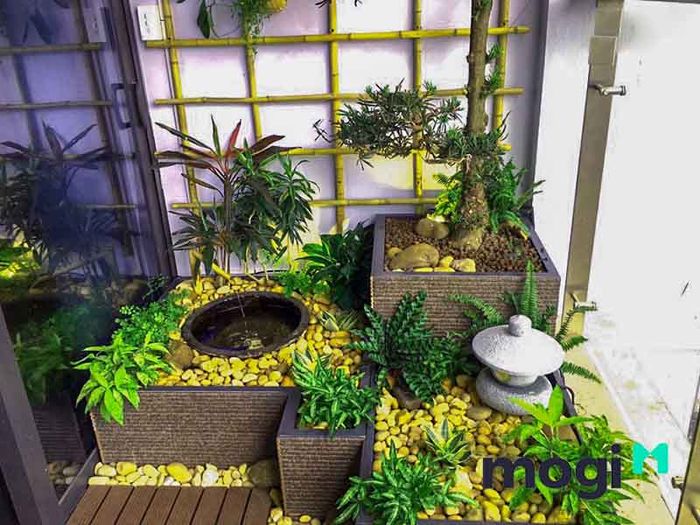 Hoa treo ban công chịu nắng thường có thân mọng nước và có gai bảo vệ.