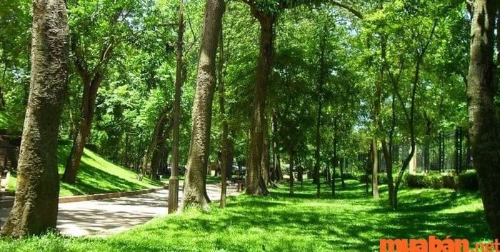 Nếu bạn chưa biết Hà Nội có gì chơi, Bách Thảo là một điểm đến tuyệt vời để tận hưởng không gian thiên nhiên xanh mát.