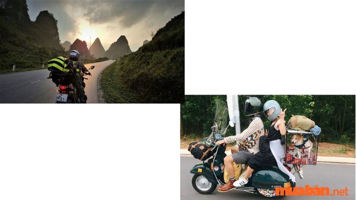 Hộp số xe tay ga