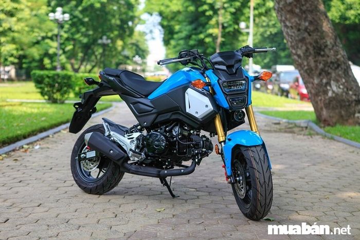 Mô tô Honda MSX hiện có 4 màu sắc lựa chọn: Trắng, đen, xanh và đỏ.