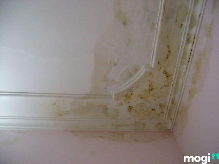 biện pháp chống thấm sân thượng