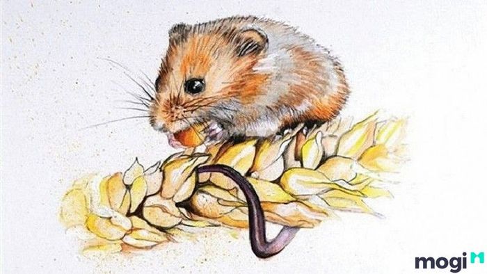Người Sinh Năm Canh Tý Là Ai?