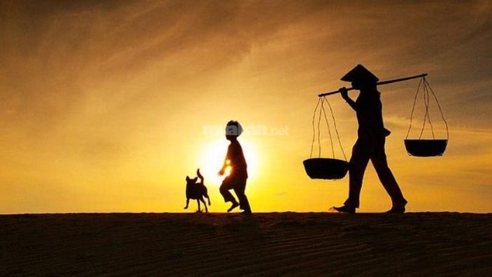 Giấc mơ thấy mẹ