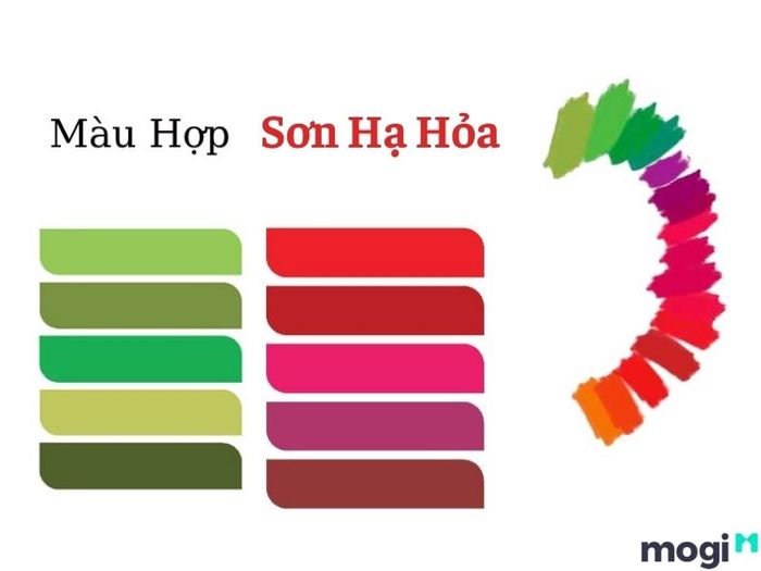 Sơn Hạ Hỏa hợp với màu sắc nào?