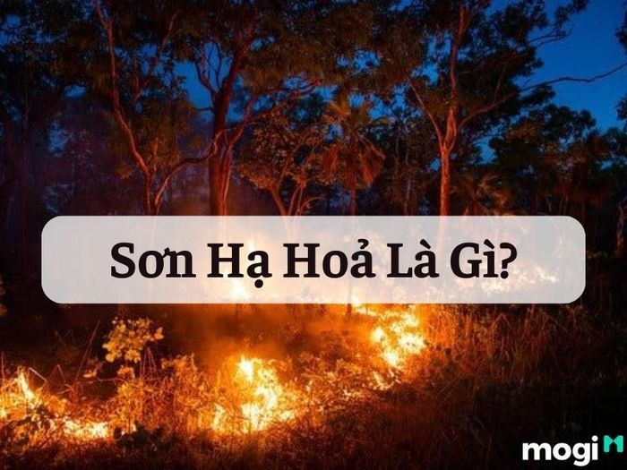 Sơn Hạ Hỏa là gì?