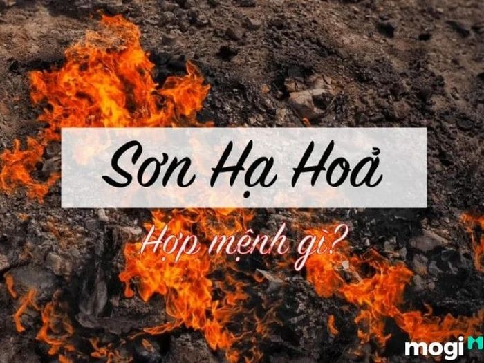Sơn Hạ Hỏa hợp mệnh gì?