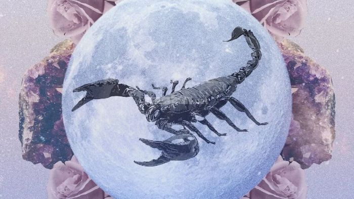 Cung hoàng đạo nào vừa lạnh lùng, vừa ấm áp nhất? Top 2: Cung Bọ Cạp