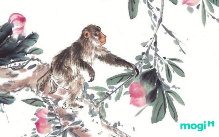 Bạn Có Biết Người Tuổi Thân Sinh Vào Những Năm Nào Không?