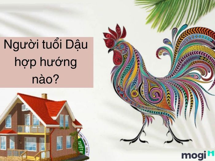 Người tuổi Dậu nên chọn hướng nhà như thế nào?