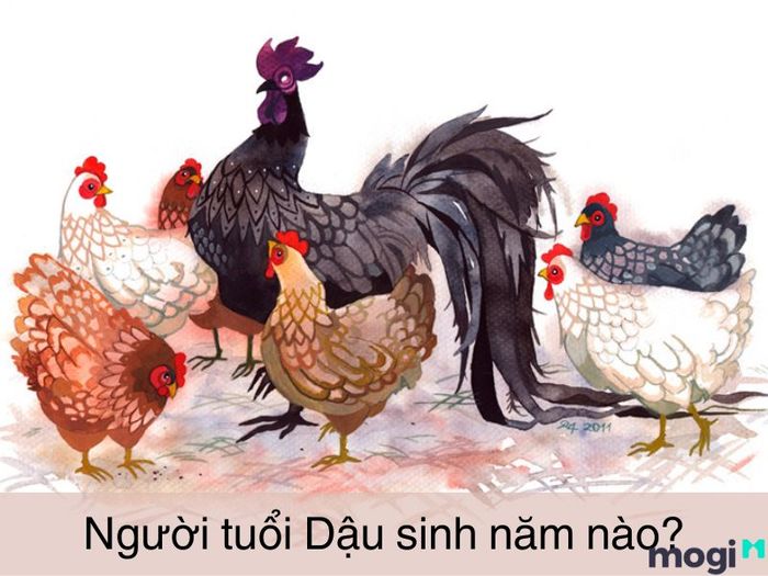 Người tuổi Dậu hợp hướng nào, sinh vào những năm nào?