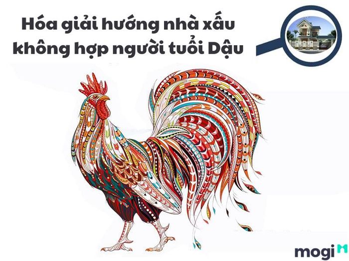 Cách hóa giải hướng nhà xấu không phù hợp với người tuổi Dậu