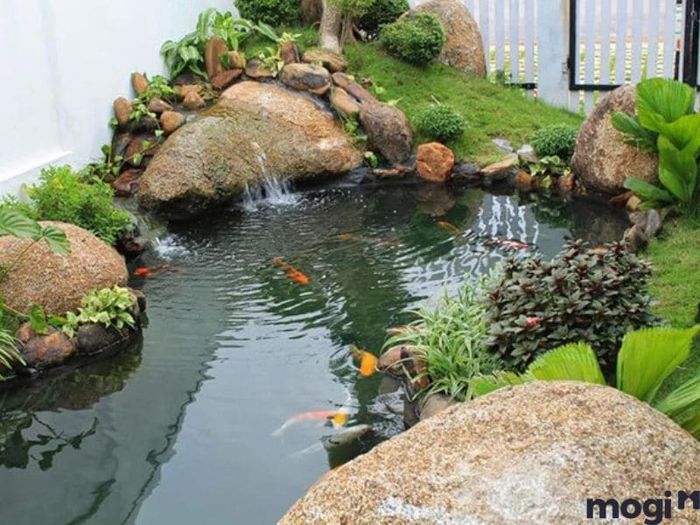 Hướng Dẫn Tự Tạo Hồ Cá Sân Vườn